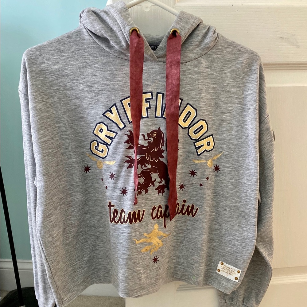 Harry Potter Gryffindor hoodie